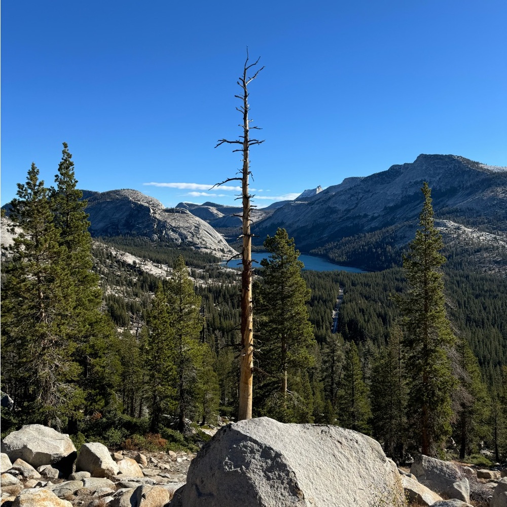 Meet your Posher, Ariel